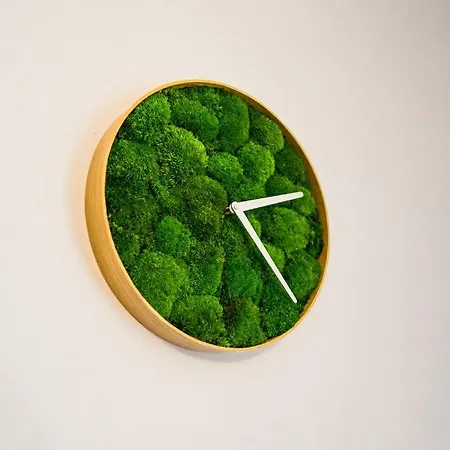 Luxury Mountain View * Terchová